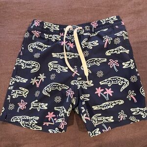 Chubbies Swim Trunks